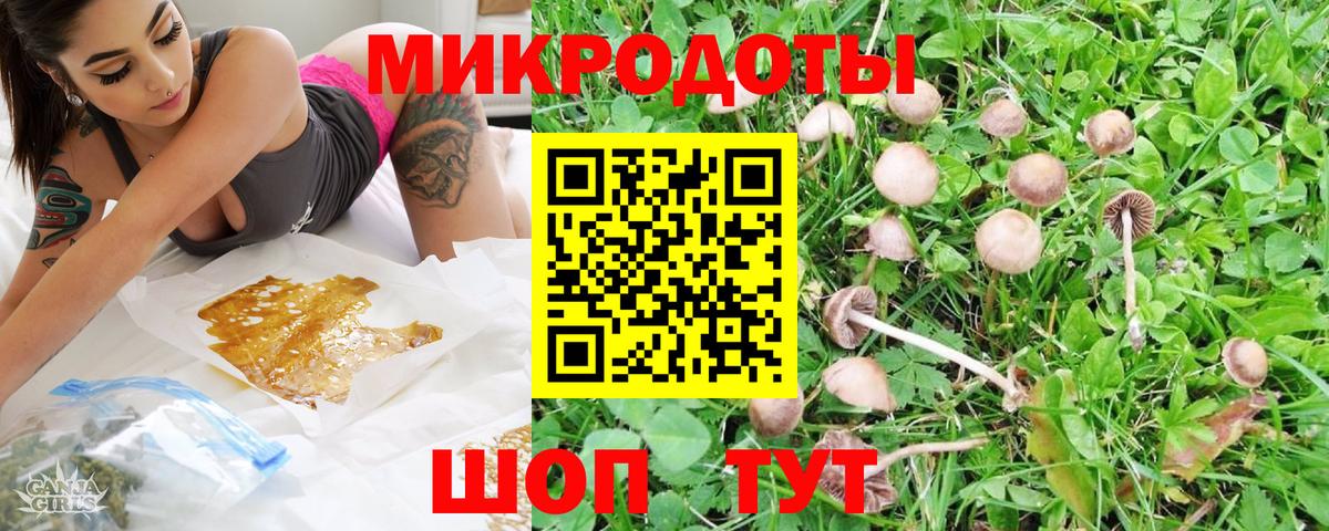 Галлюциногенные грибы Psilocybine cubensis Дзержинский