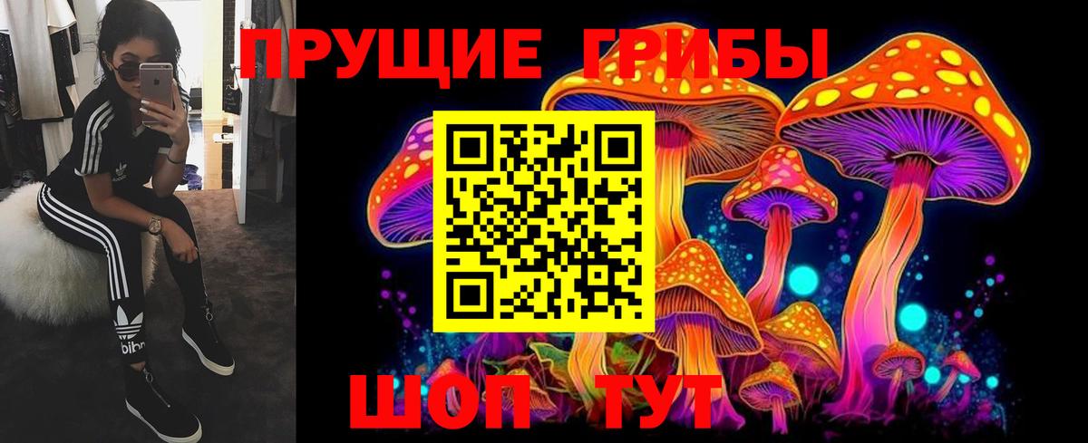 Дзержинский  Галлюциногенные грибы прущие грибы  наркошоп  Псилоцибиновые грибы MAGIC MUSHROOMS  Вход с VPN 